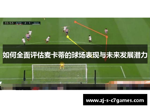 如何全面评估麦卡蒂的球场表现与未来发展潜力